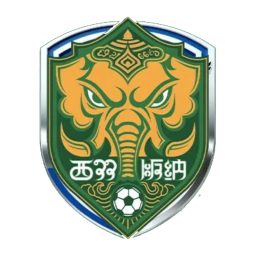 大理队