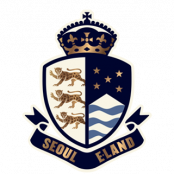 龙仁FC